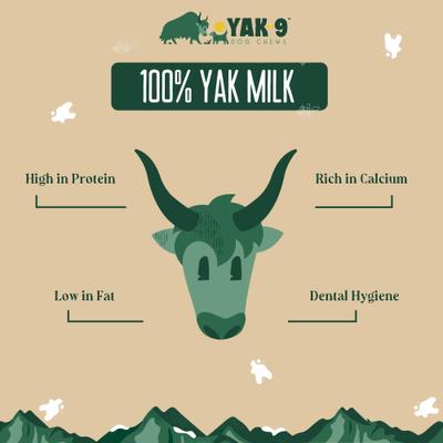 Yak Milk Chew Dog Treats, 3 count, Medium
