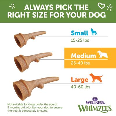by Wellness Occupy Antler Dental Chews Natural Grain-Free Dental Dog Treats, Medium, 12 count