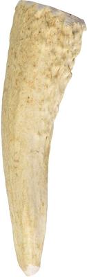 Natural Elk Antler Dog Chews, Small
