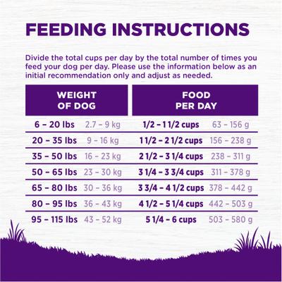 Complete Health Beef & Barley Grained Natural Adult Dry Dog Food, 26-lb bag