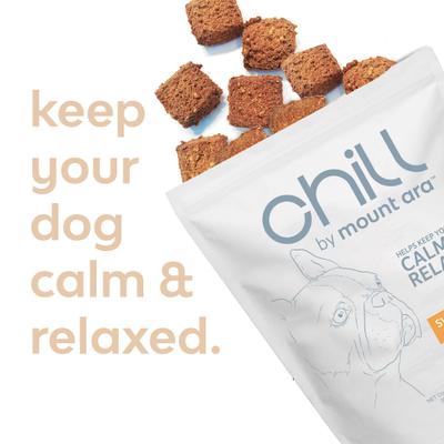 Chill Bites Sweet Potato Dog Treats, 4-oz