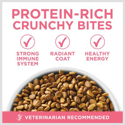 Bundle: Purina ONE Healthy Kitten Formula Dry Food + Fancy Feast Tender Feast Canned Kitten Food