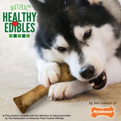 Healthy Edibles All-Natural Long Lasting Bacon Dog Chew Treats, Giant, 1 count, 7.5-inch