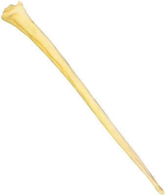 Steer Jerky Full Beef Tailz Dog Treat, 1 count