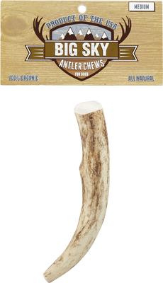 Natural Elk Antler Dog Chews, Medium