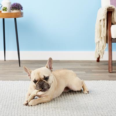 Natural Elk Antler Dog Chews, Medium