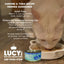 Kettle Creations Sardine & Tuna Recipe in Gravy Wet Cat Food, 2.47-oz can, case of 12