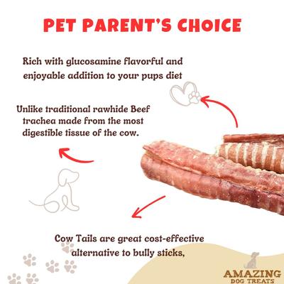 12-in Beef Trachea Dog Treats, 5 count