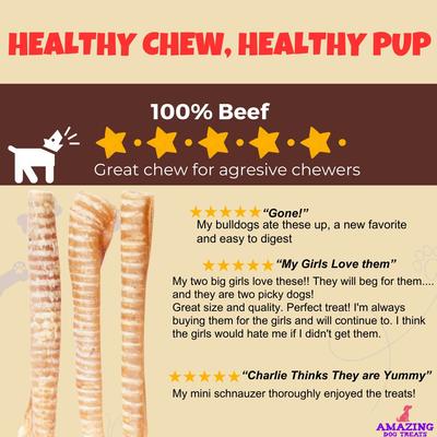12-in Beef Trachea Dog Treats, 5 count