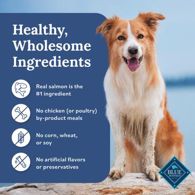 Tender Shreds Salmon & Chicken Toppers in Savory Broth, Wet Dog Food, 2.5-oz bag, 24 count