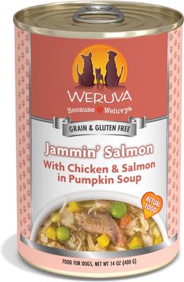 Jammin' Salmon with Chicken & Salmon in Pumpkin Soup Grain-Free Canned Dog Food, 14-oz, case of 12