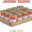 Jammin' Salmon with Chicken & Salmon in Pumpkin Soup Grain-Free Canned Dog Food, 14-oz, case of 12