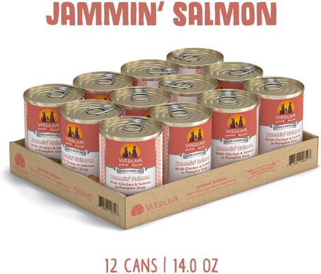 Jammin' Salmon with Chicken & Salmon in Pumpkin Soup Grain-Free Canned Dog Food, 14-oz, case of 12