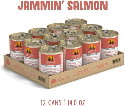 Jammin' Salmon with Chicken & Salmon in Pumpkin Soup Grain-Free Canned Dog Food, 14-oz, case of 12