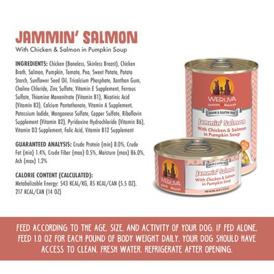 Jammin' Salmon with Chicken & Salmon in Pumpkin Soup Grain-Free Canned Dog Food, 14-oz, case of 12