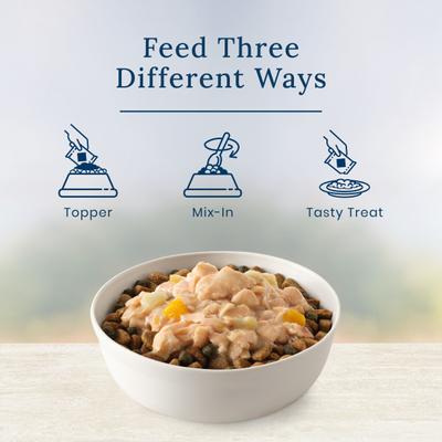 Basics LID Skin & Stomach Care Grain-Free Salmon in Gravy Adult Wet Dog Food Topper, 2.5-oz pouch, case of 12