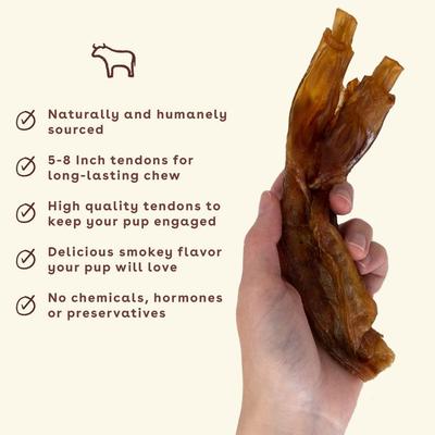 Turbo Tendon Dog Chews, 15 count