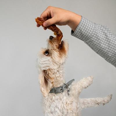 Turbo Tendon Dog Chews, 15 count