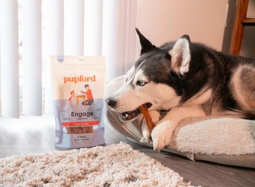 Turbo Tendon Dog Chews, 15 count