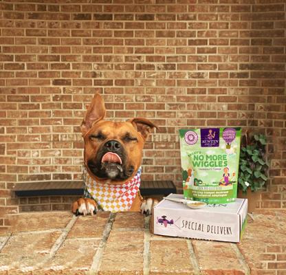 Bailey's No More Wiggles Dog & Cat Supplement, 2.71-oz bag