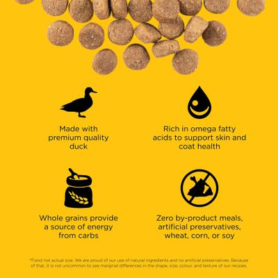 Skin + Coat Care Duck Recipe Dry Dog Food, 22-lb bag