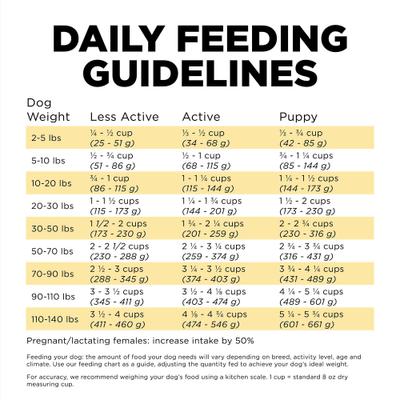 Skin + Coat Care Duck Recipe Dry Dog Food, 22-lb bag