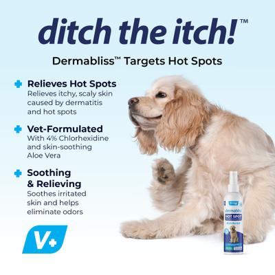 Dermabliss Medicated Hot Spot Antiseptic Chlorhexidine Dog & Cat Skin Spray, 8-oz bottle