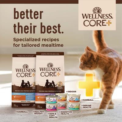 CORE+ Grain-Free Indoor Chicken, Turkey & Chicken Meal Dry Cat Food, 11-lb bag