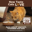 CORE+ Grain-Free Indoor Chicken, Turkey & Chicken Meal Dry Cat Food, 11-lb bag