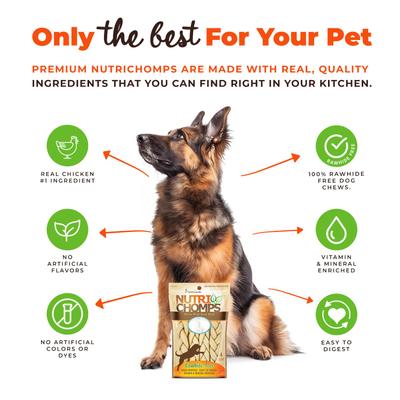 6" Assorted Flavor Braid Dog Treats, 4 count