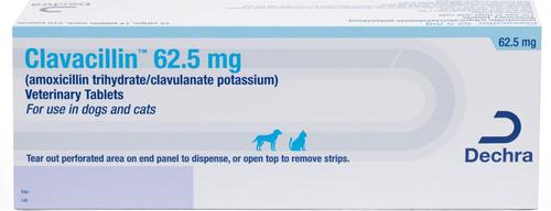 (amoxicillin trihydrate/clavulanate potassium) Tablets for Dogs & Cats, 375-mg, 1 tablet