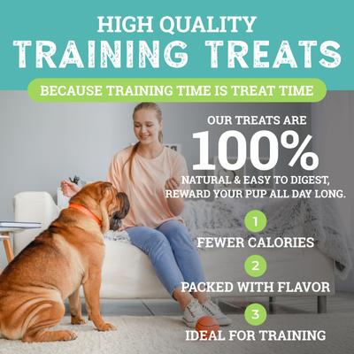 Sit! Training Treats Cheese Recipe Dog Treats, 1-lb bag