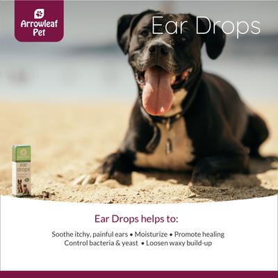 Ear Drops Ear Oil & Grooming Support for Cats & Dogs, 10-ml bottle