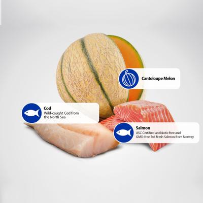 Alimento seco para perros N&D Ocean Canine Adult GMO-Free Salmon Cod Cantaloupe Maxi Giant, bolsa de 12 kg