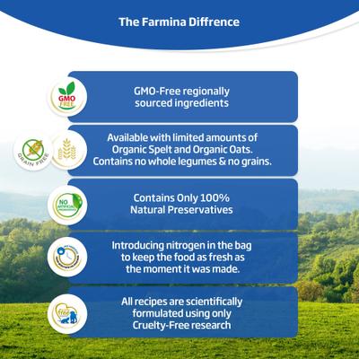 Alimento seco para perros N&D Ocean Canine Adult GMO-Free Salmon Cod Cantaloupe Maxi Giant, bolsa de 12 kg