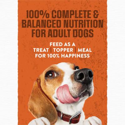 Burger with Cheddar Cheese Flavor Dry Dog Food, 6-oz pouch, case of 36