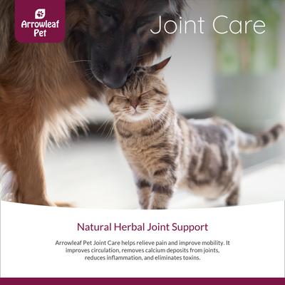 Joint Care Mobility Supplement for Cats & Dogs 100-ml bottle