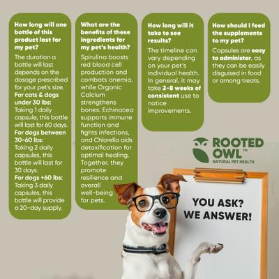 Natural Blood Support Vegan Capsules Supplement with Spirulina & Chlorella for Dogs & Cats, 60 count