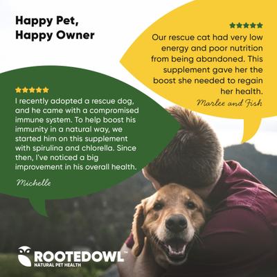 Natural Blood Support Vegan Capsules Supplement with Spirulina & Chlorella for Dogs & Cats, 60 count