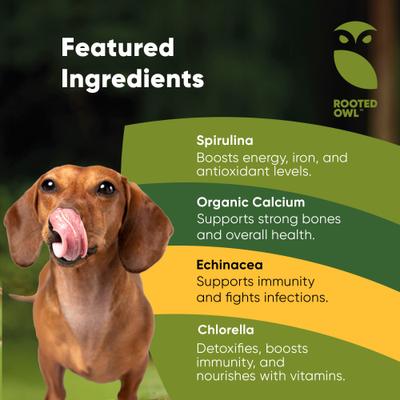 Natural Blood Support Vegan Capsules Supplement with Spirulina & Chlorella for Dogs & Cats, 60 count