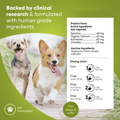 Natural Blood Support Vegan Capsules Supplement with Spirulina & Chlorella for Dogs & Cats, 60 count