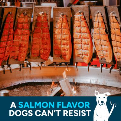 Wag More Bark Less Smoked Salmon Grain-Free Jerky Dog Treats, 10-oz bag