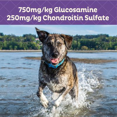 Bundle: Wellness CORE Grain-Free Senior Deboned Turkey Recipe Dry Dog Food, 12-lb bag + Old Mother Hubbard Mother's Solution's Hip & Joint Baked Dog Treats, 20-oz bag