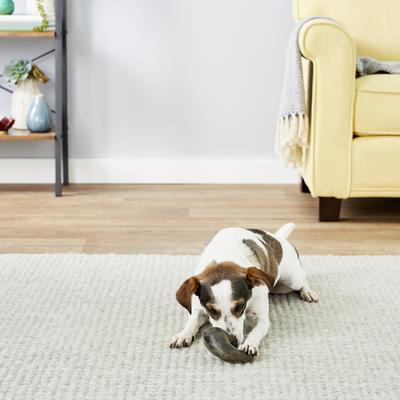 Buffalo Hornz Water Buffalo Horn Dog Treat, Small