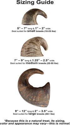 Buffalo Hornz Water Buffalo Horn Dog Treat, Small