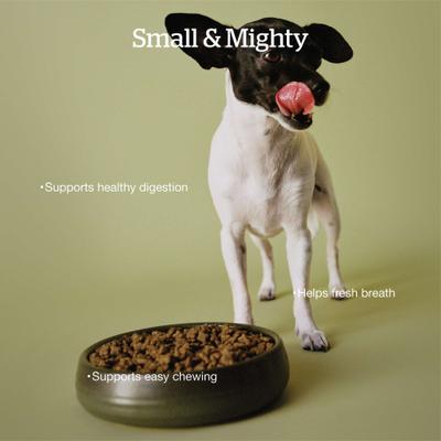 Good Gravy Small Breed Ancient Grains Adult Chicken Recipe Dry Dog Food, 3.5-lb bag