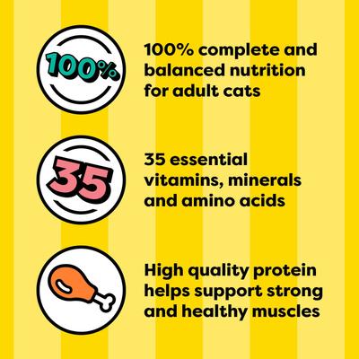 Pate in Gravy Flavor Variety Wet Cat Food, 3.5-oz tray, case of 12