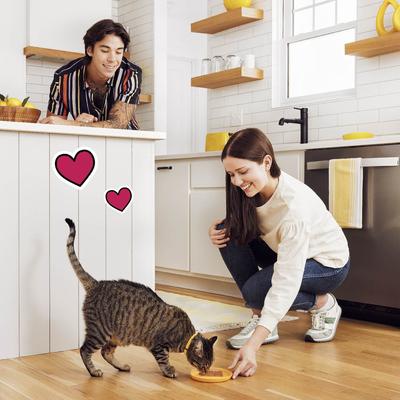 Pate in Gravy Flavor Variety Wet Cat Food, 3.5-oz tray, case of 12