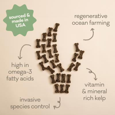 Galletas crujientes para perros Green Monstah Bones, bolsa de 7 oz