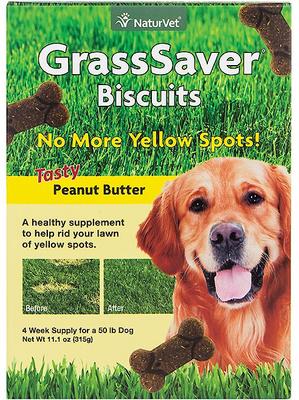 Galletas GrassSaver con sabor a mantequilla de maní, suplemento para la protección del césped de perros, caja de 325 g